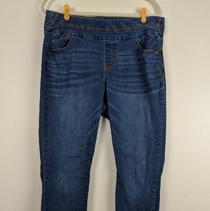 One World Slimming Jeggings Size 1X